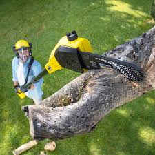 Lawn Watering Services in Tipton, CA